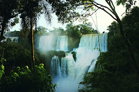 Waterfall Argentina - Photo by Julia Caesar on Unsplash