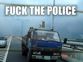 dog on truck fuck the police, dog, funny dog, fuck the police