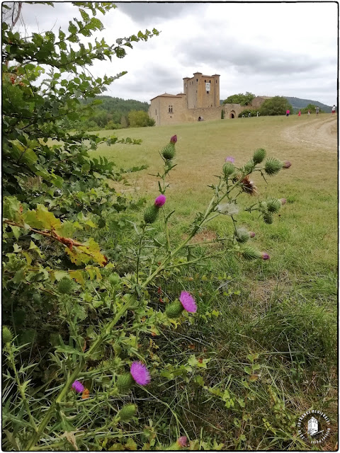 ARQUES (11) - Château-fort