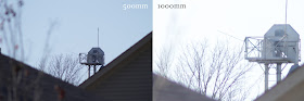500mm vs. 1000mm lens