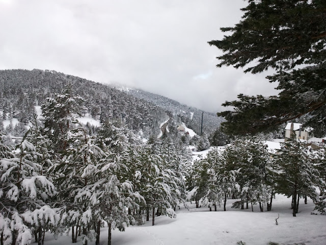 Tren de la Naturaleza. Excursiones Sierra de Madrid