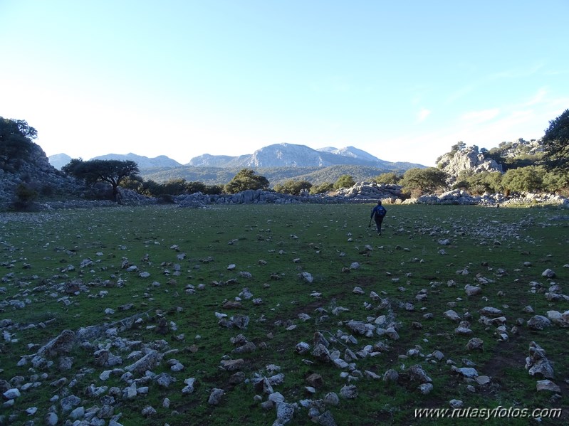 Los Lajares - Llanos de Zurraque - Cortijo del Mojon Alto - Cabeza de Caballo - Llanos del Republicano