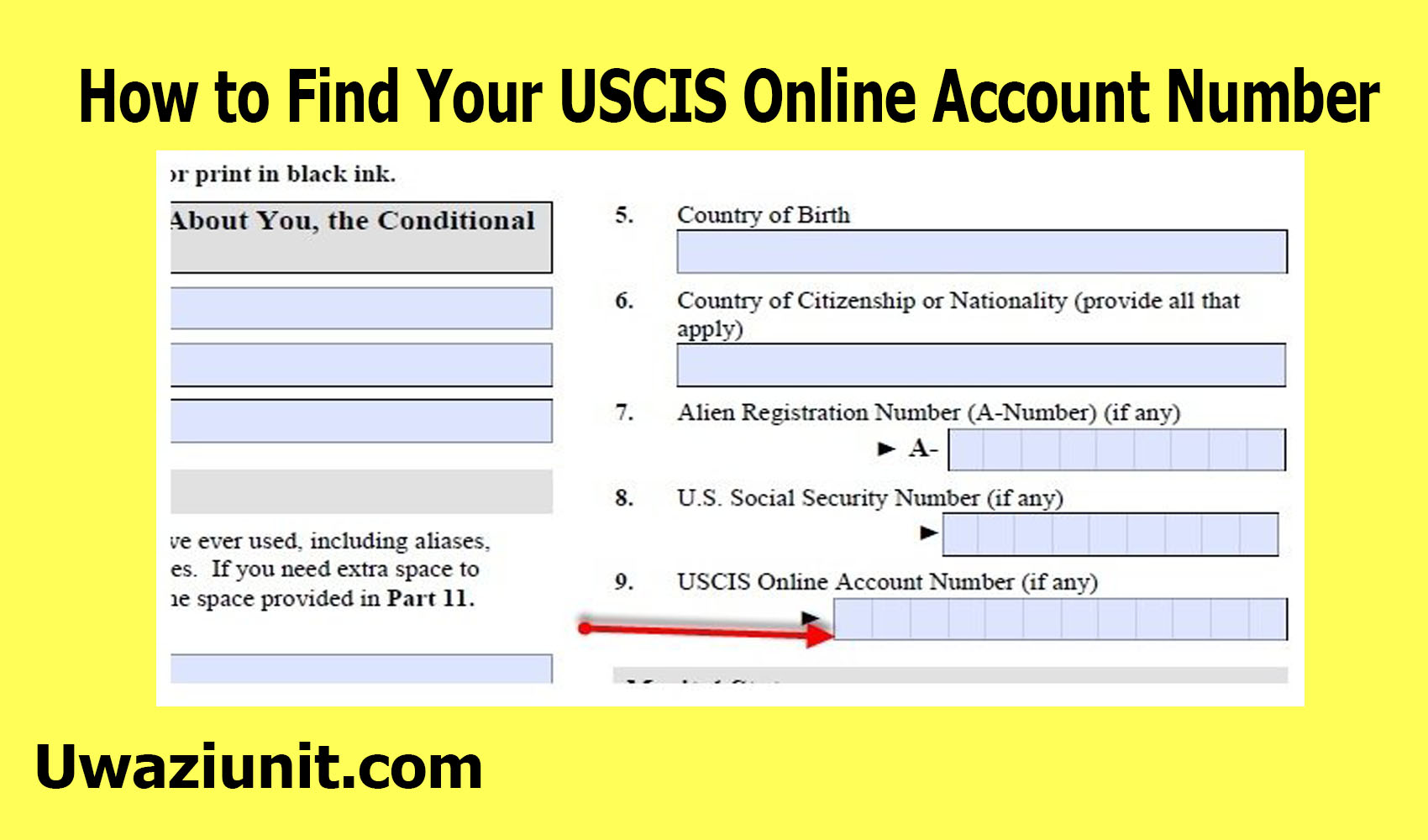What Is The Uscis Account Number How To Sign Up And Login To Uscis ...