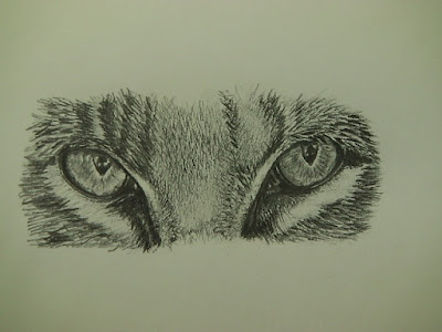 Wildlife drawing and sketching