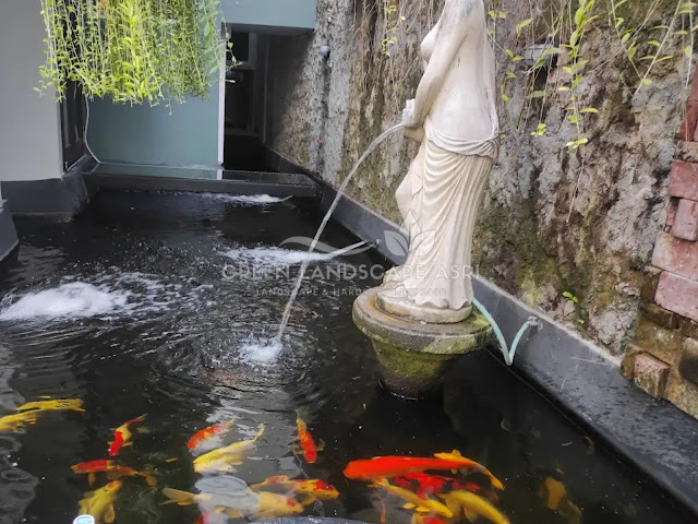 Jasa Pembuatan Kolam Koi Cilacap - Tukang Kolam Koi Profesional