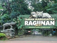 Cara Berlibur ke Ragunan 2022