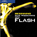 Ebook Beginning Game Flash