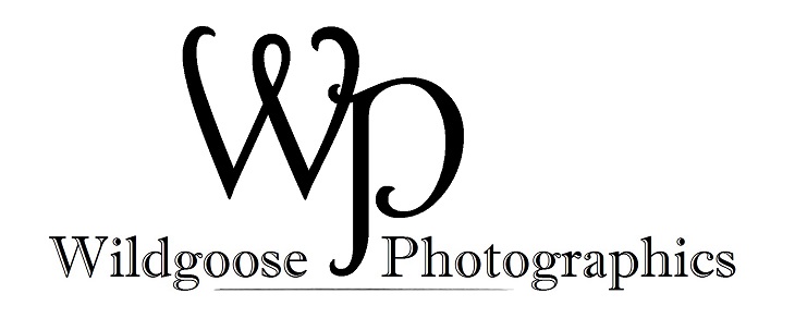 Wildgoose Photographics