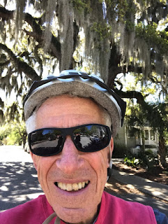 Spanish moss; Mt. Pleasant; South Carolina; Giorgio Coniglio