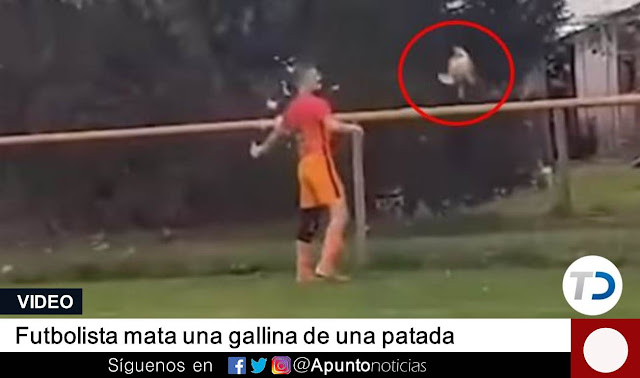 animales,futbolista