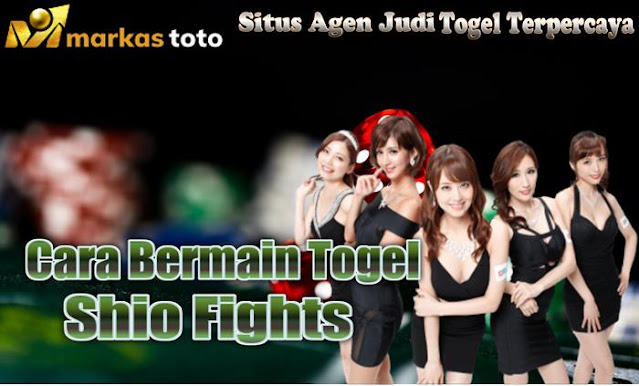 Cara Bermain Togel Shio Fights - MARKASTOTO