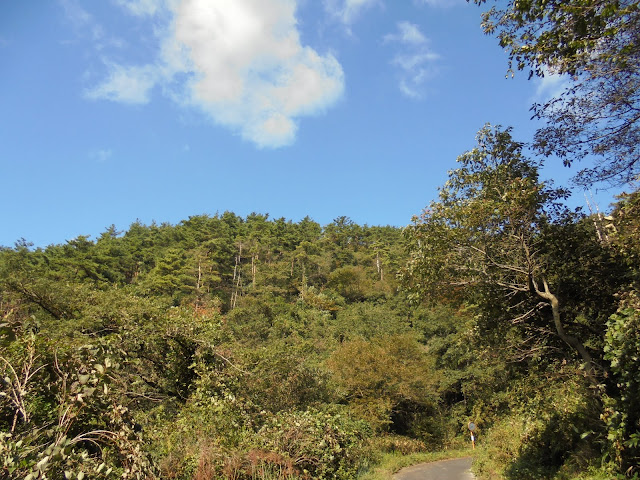 寂れた道をだいぶ登りました