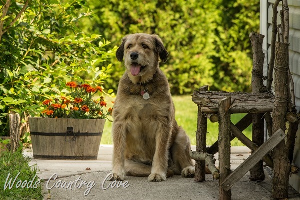 AUGUST 2015 (11 of 51)