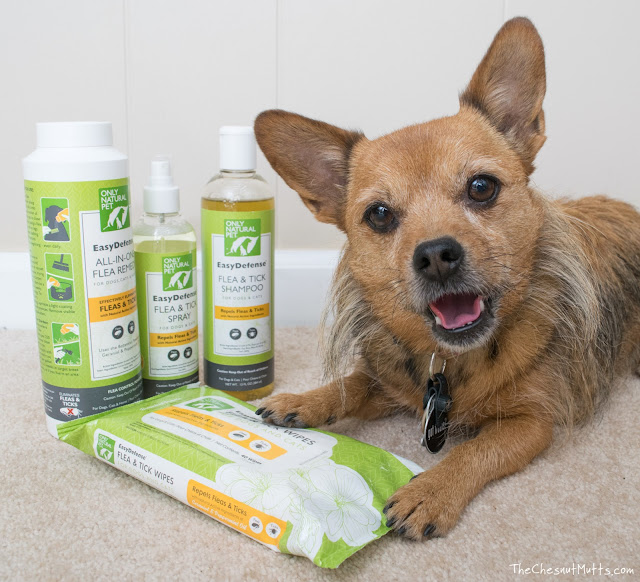 Only Natural Pet Easy Defense Flea Prevention