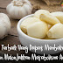 8 Herbal Terbaik Yang Sanggup Aben Lemak Dan Melonjakkan Metabolisme
Anda