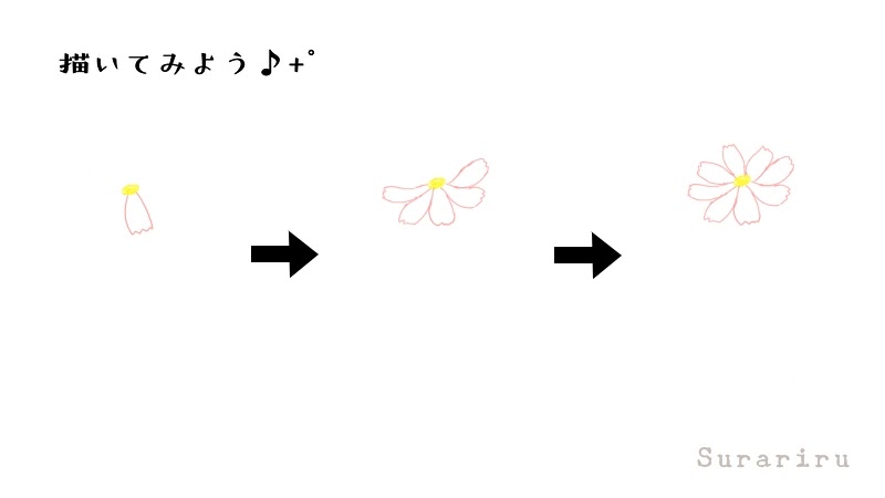 簡単なコスモスの花のイラストの描き方 遠北ほのかのイラストサイト