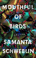 Review of Headlights from Mouthful of Birds by Samanta Schweblin