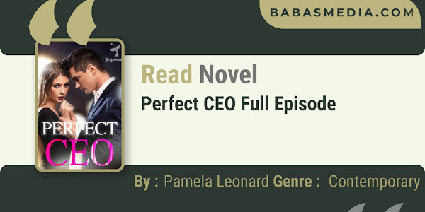 Read Perfect CEO Novel By Pamela Leonard / Synopsis