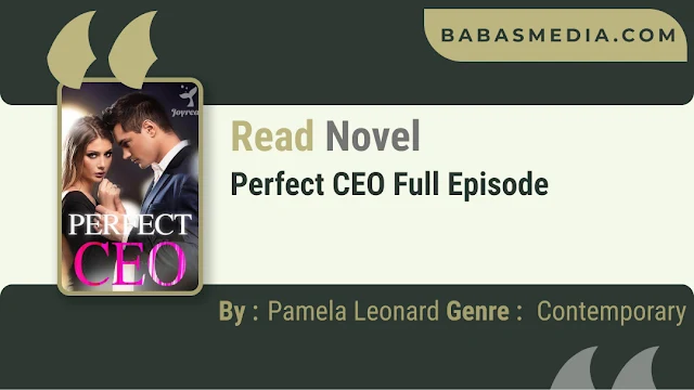 Cover Perfect CEO Novel By Pamela Leonard