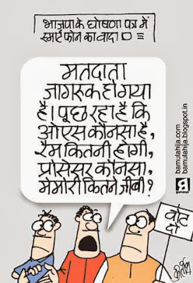 assembly elections 2013 cartoons, bjp cartoon, indian political cartoon, cartoons on politics, voter