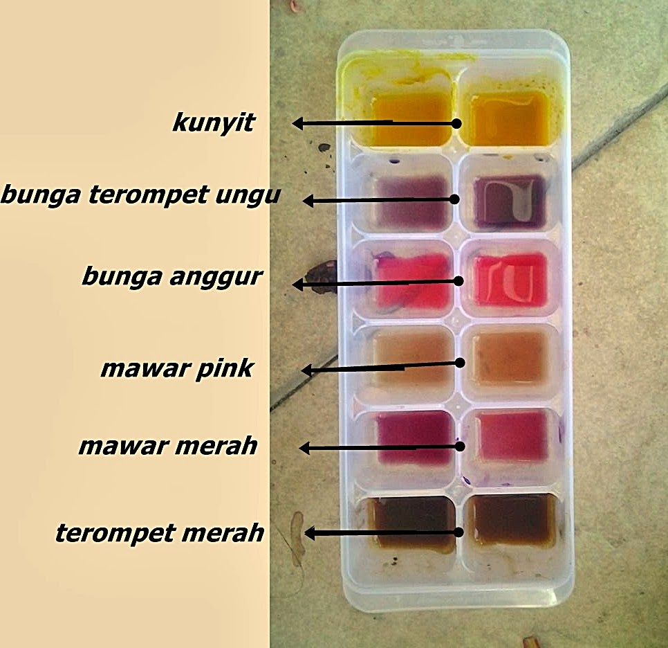 the story of indikator  alami asam  basa  ekstrak  bunga  