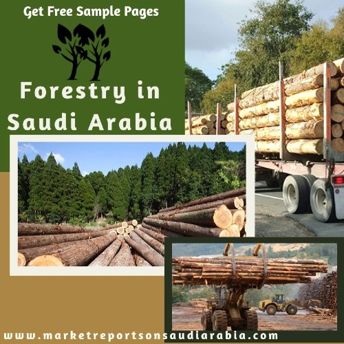  http://www.marketreportsonsaudiarabia.com/marketreports/forestry-in-saudi-arabia-isic-2/1760393