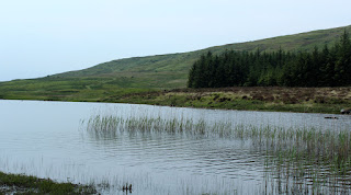 The Loch is very reedy and peaty