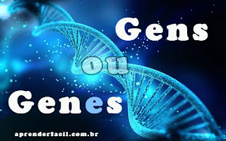 Gens ou genes? Qual o correto?