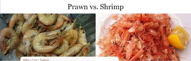 https://www.diffen.com/difference/Prawn_vs_Shrimp