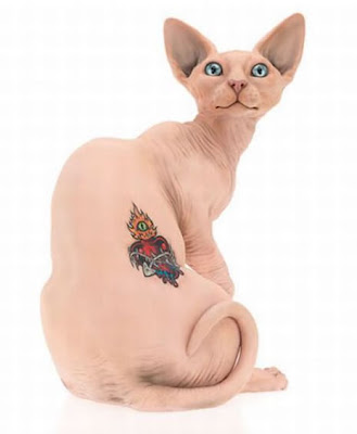 Sphynx Cat Tattoo