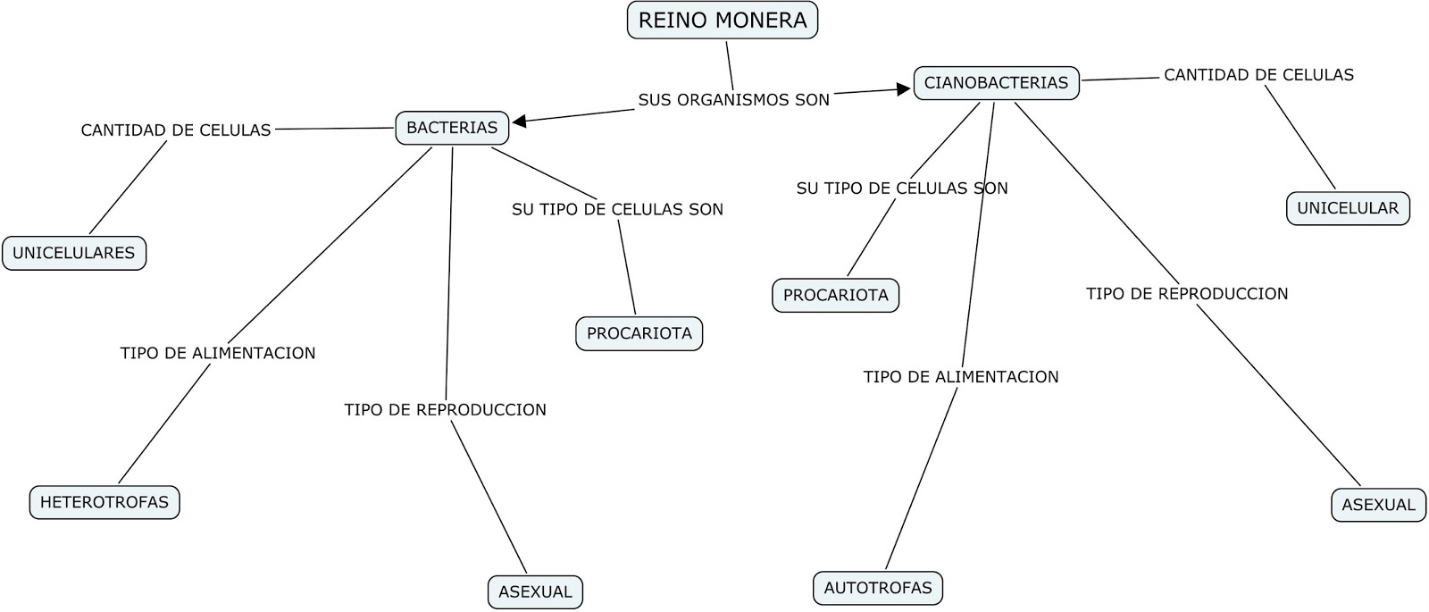 Juanma San Sebastian Reino Monera