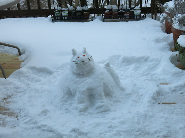 雪貓兒