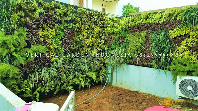 VERTICAL GARDEN INDONESIA SPESIALIS JASA PEMBUATAN VERTICAL GARDEN DI SRAGEN JAWA TENGAH DAN DI SELURUH WILAYAH JAWA TENGAH DENGAN TENAGA YANG PROFESIONAL DAN DAPAT DI PERCAYA YANG SELALU MENGUTAMAKAN SEBUAH MUTU DAN KUALITAS PEMASANGAN VERTICAL GARDEN/TAMAN DINDING, JASA TUKANG TAMAN VERTICAL SRAGEN JAWA TENGAH, JASA VERTICAL GARDEN SRAGEN JAWA TENGAH,