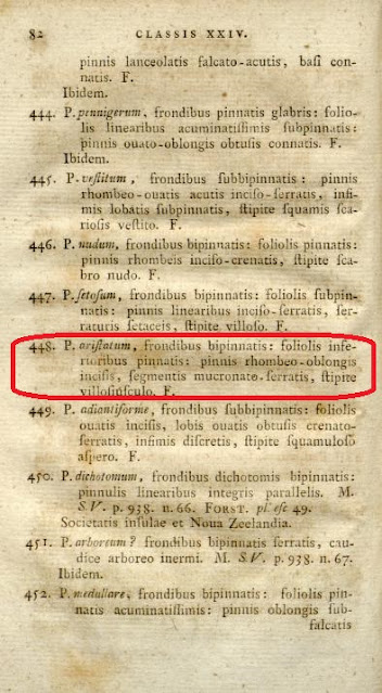 Первое описание вида немецким учёным-естествоиспытателем Иоганном Георгом Адамом Форстером в работе "Florulae Insularum Australium Prodromus" (1786 год, стр. 82) под названием Polypodium aristatum
