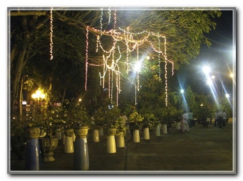 tho21122010