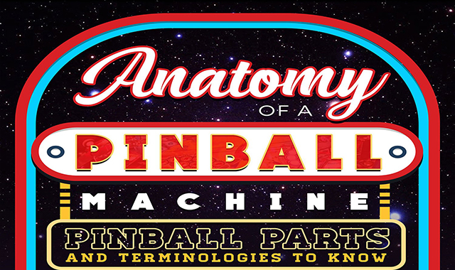 Anatomy Of A Pinball Machine: Pinball Parts And Terminologies To Know 