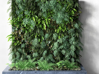 Vertical garden