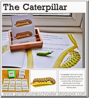 caterpillarIcon