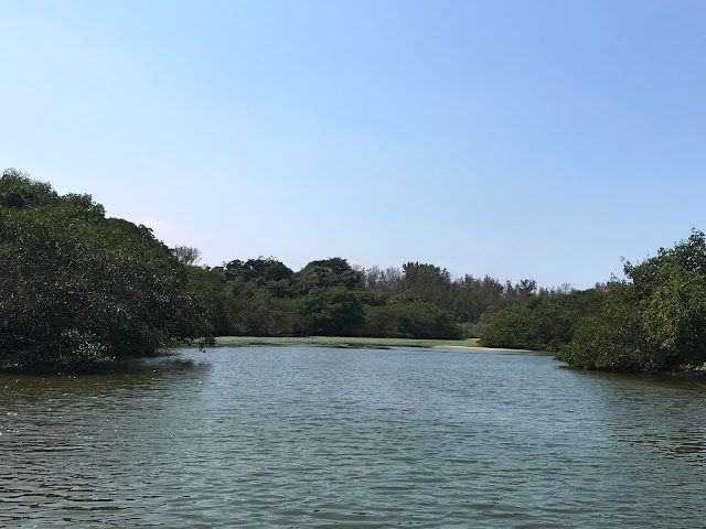 Pantanal Carioca - o paraíso escondido na Barra da Tijuca
