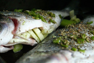 Dorada With Fennel And Tomato Salad Garnish Recipe