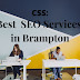Best SEO Services in Brampton