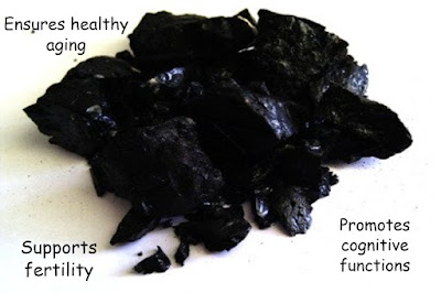 Shilajit Benefits