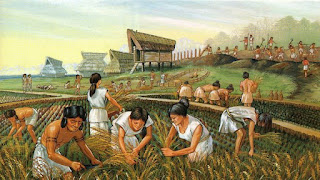 farming methods of the mayans