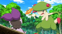 Noibat intimidado por Breloom 