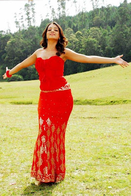 Trisha red gown hot photos