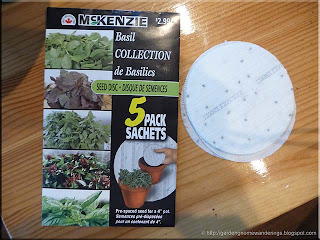 McKenzi basil seed collection