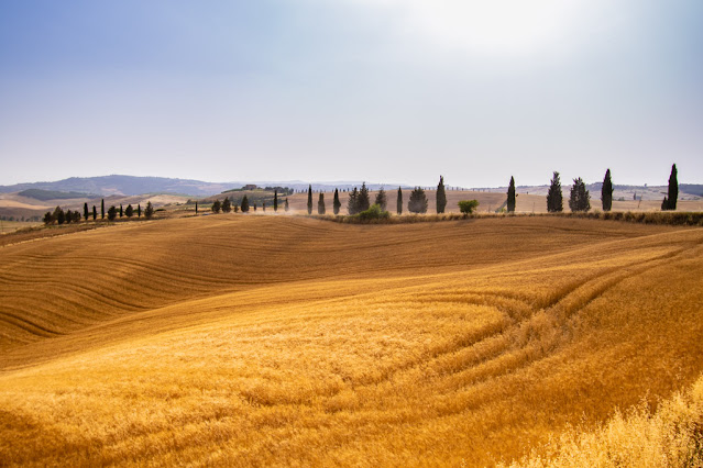 Paesaggio tra Pienza e Monticchiello