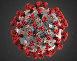 Covid-19, Corona Virus.