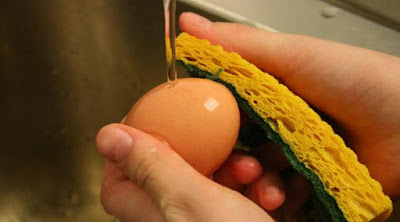 bahaya simpan telur dah dibasuh