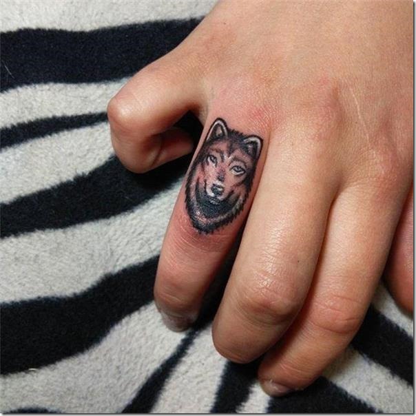 el-lobo-es-el-guardin-de-la-noche el-lobo-es-el-guardin-de-la-noche